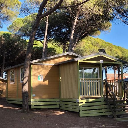Camping La Tamarissiere Agde Kültér fotó