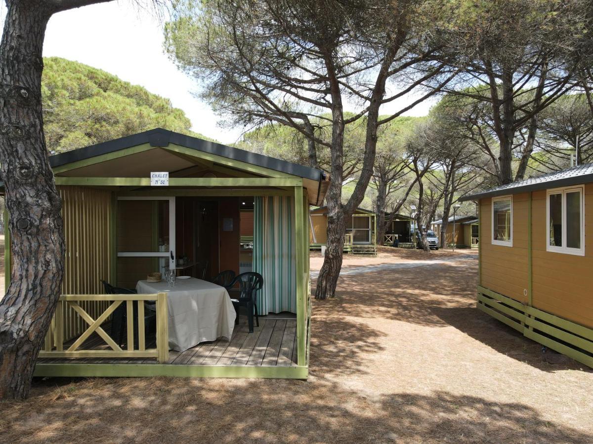 Camping La Tamarissiere Agde Kültér fotó