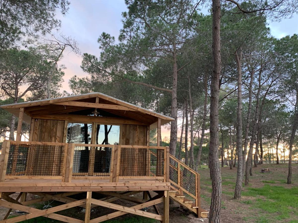 Camping La Tamarissiere Agde Kültér fotó