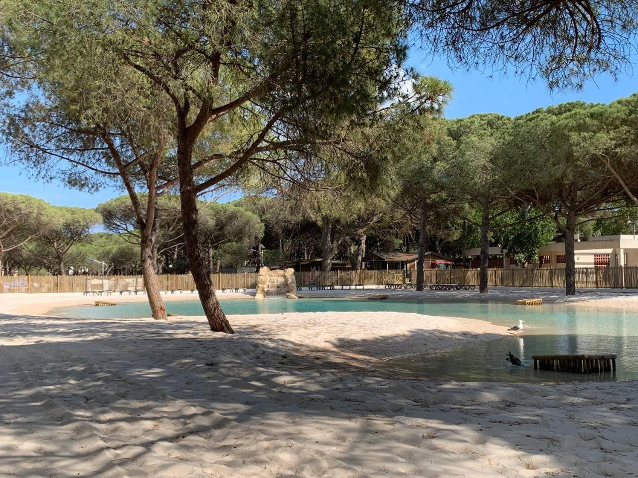 Camping La Tamarissiere Agde Kültér fotó